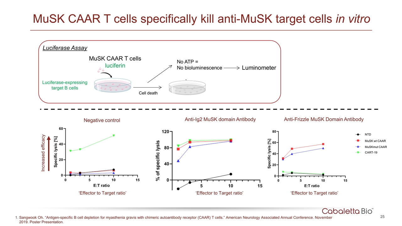 Slide 25