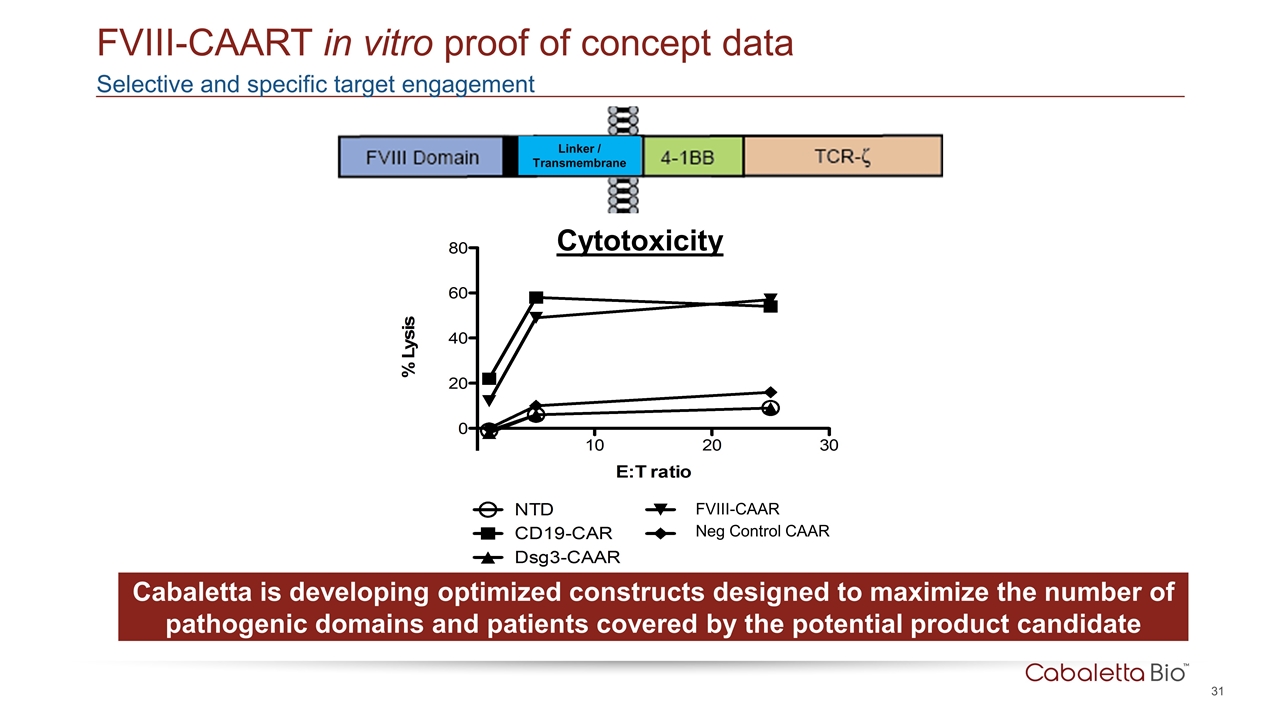 Slide 31