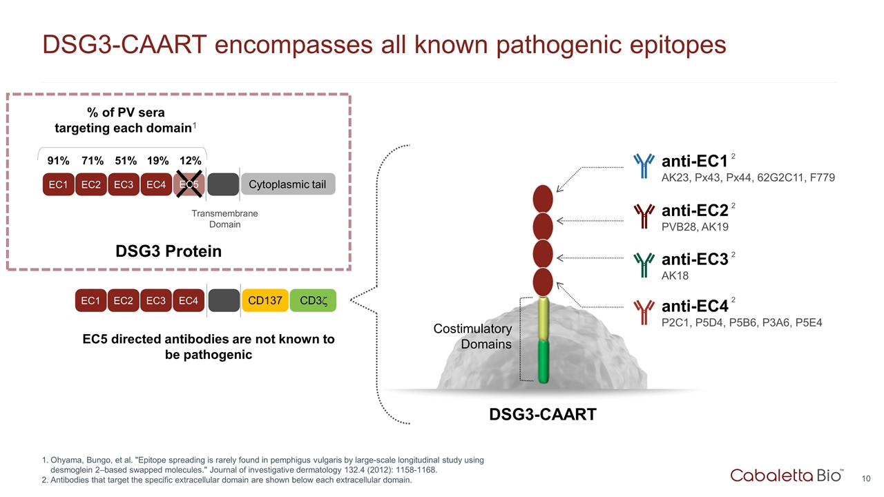 Slide 10