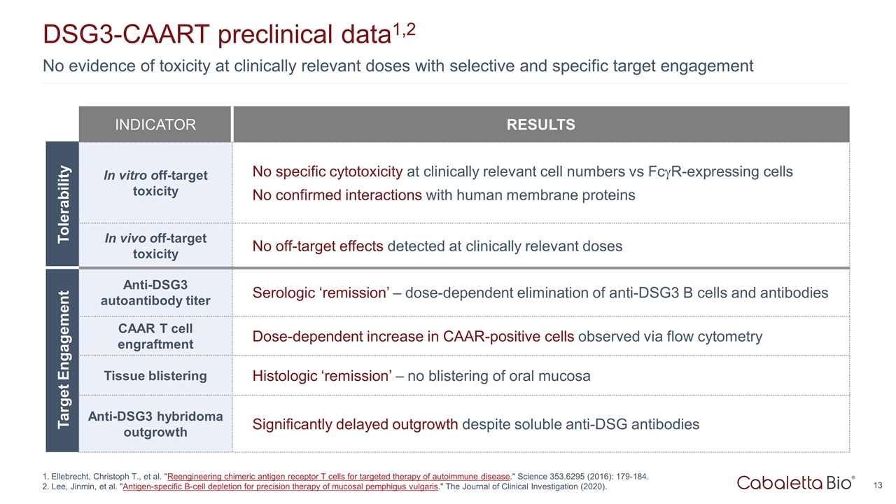 Slide 13