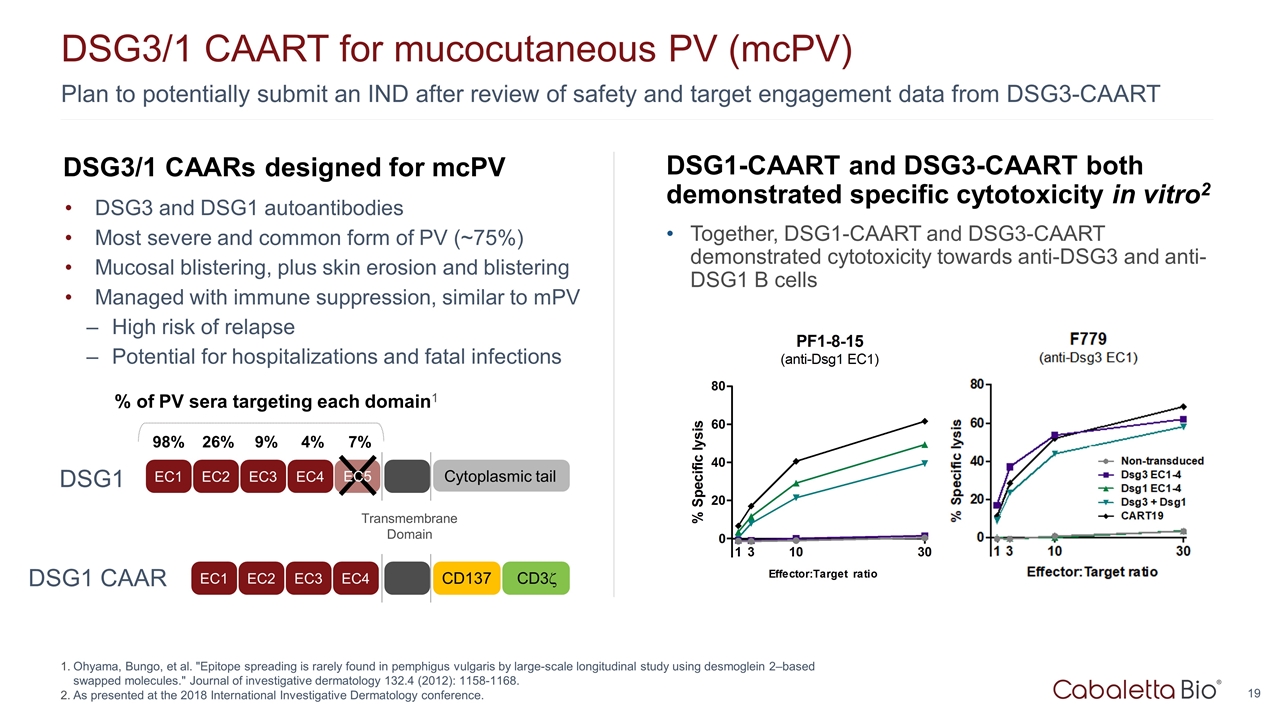 Slide 19