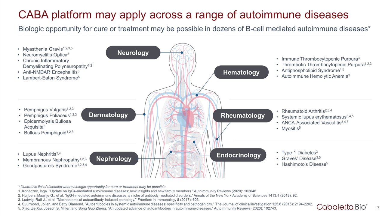 Slide 7