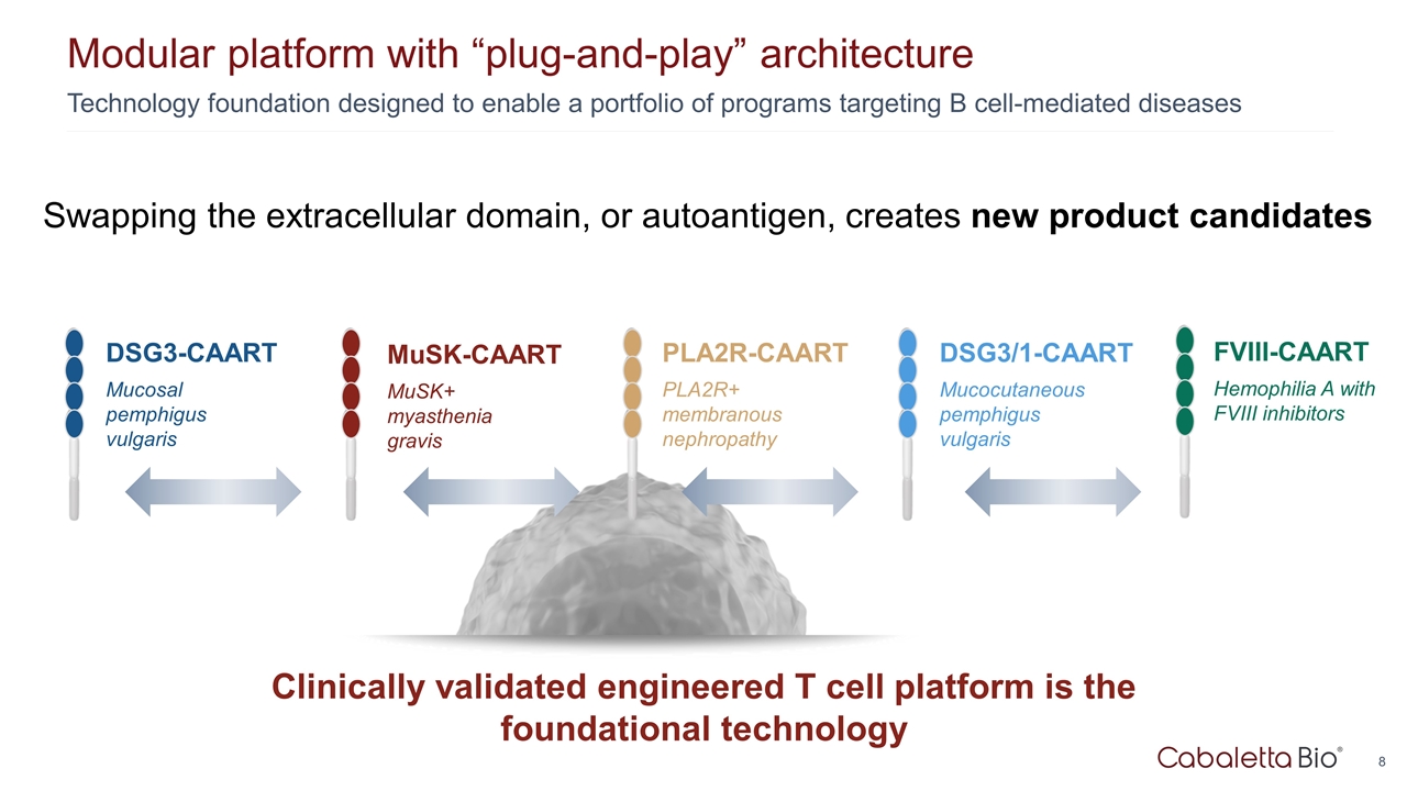 Slide 8