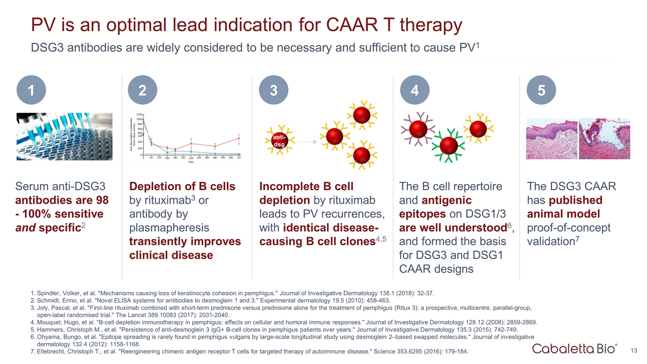 Slide 13