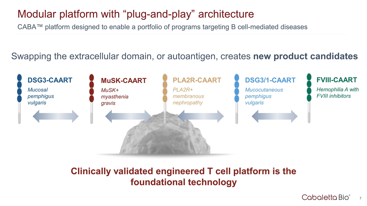 Slide 7