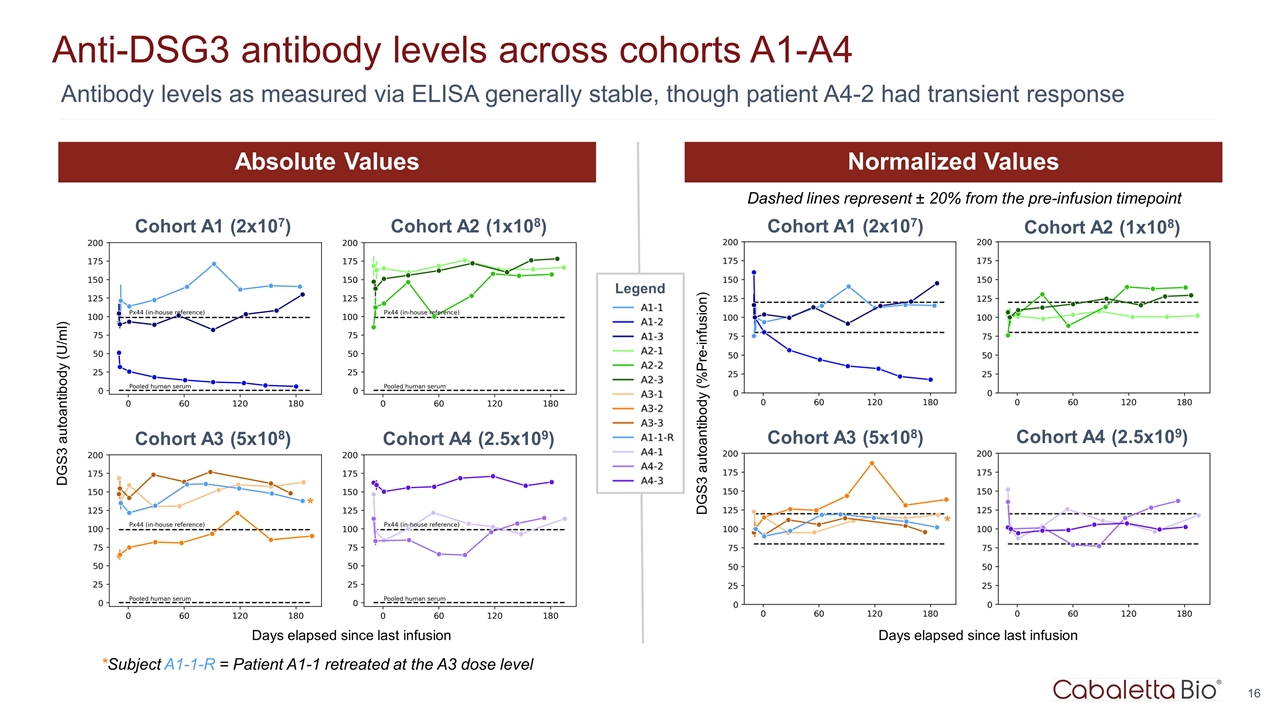 Slide 16