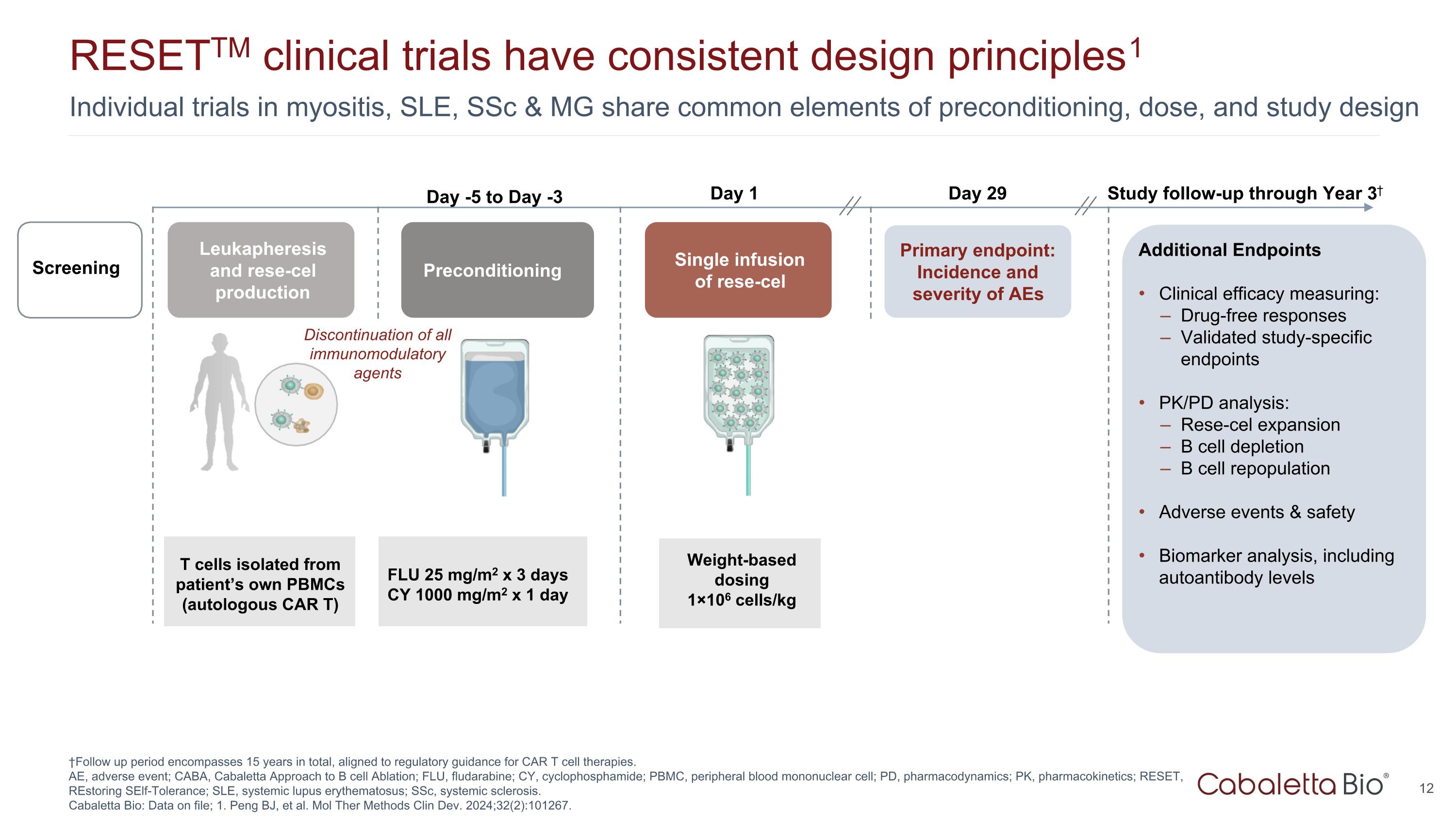 Slide 12