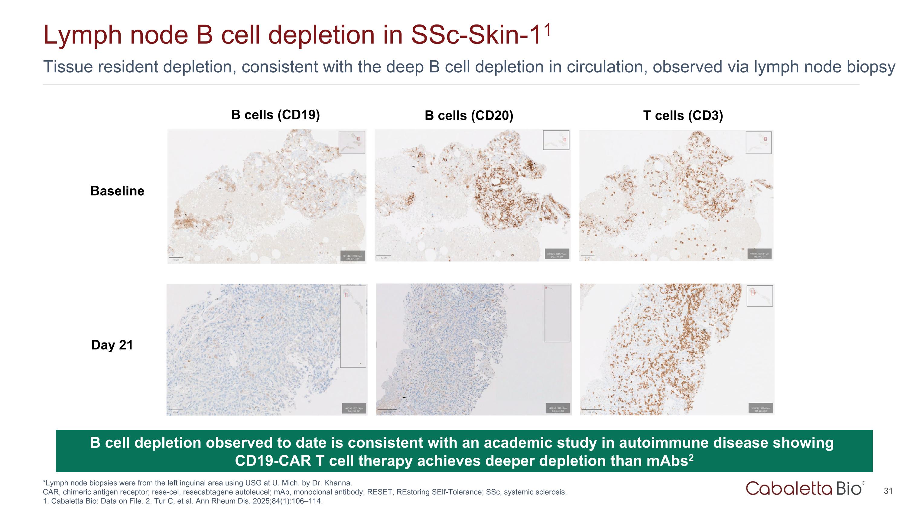 Slide 31