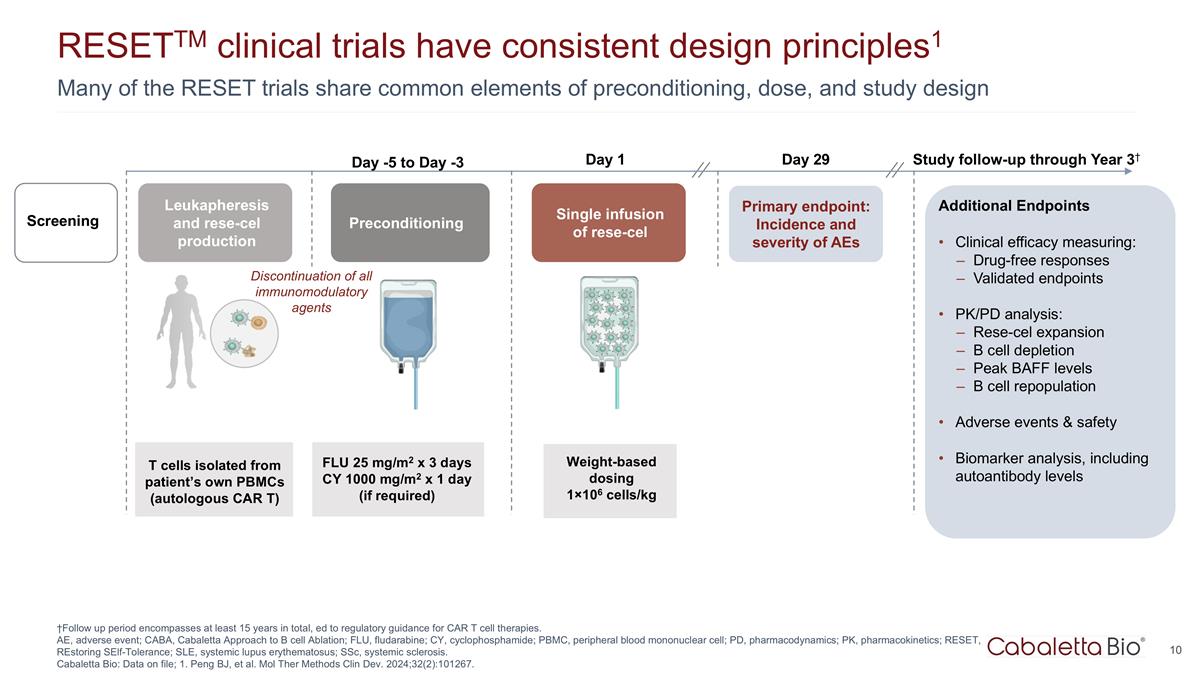 Slide 10