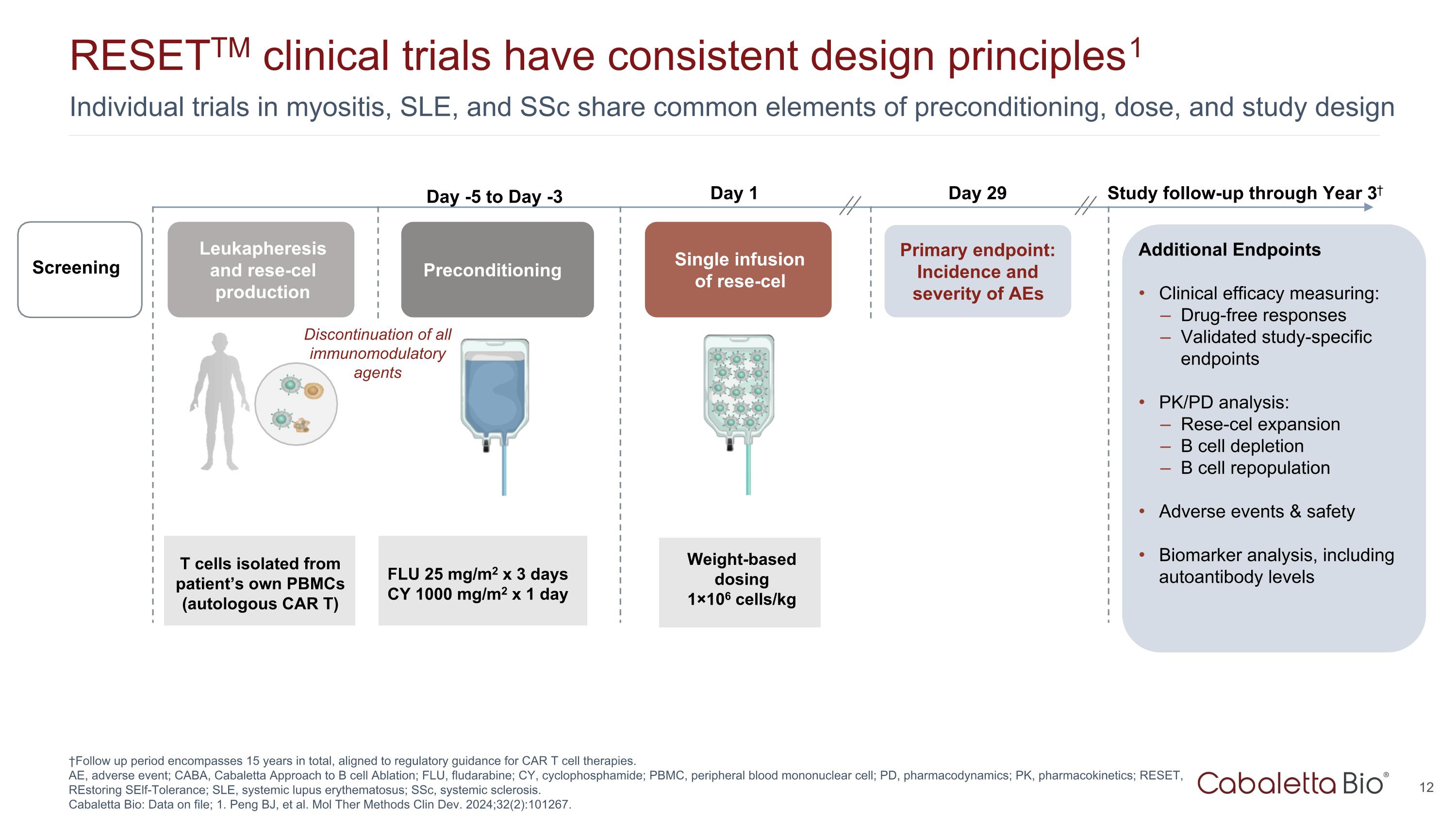 Slide 12